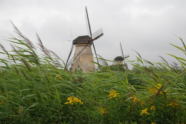 Historische Nederlandse windmolen